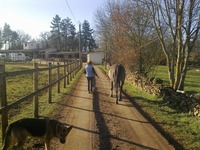 Bienvenue aux Ecuries Du Parc